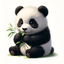 Panda Loan logo